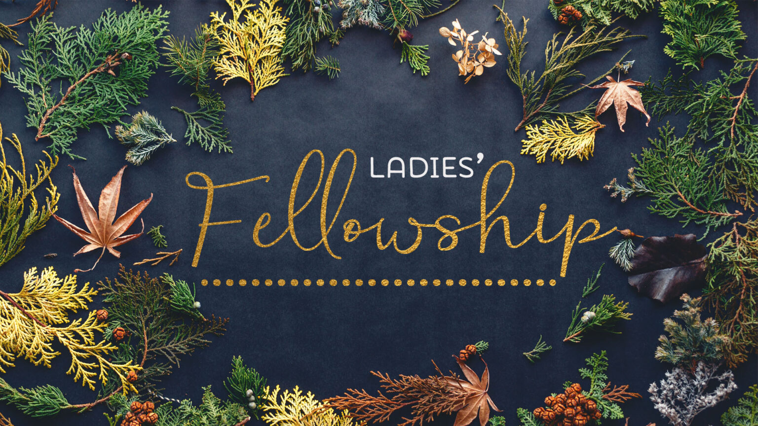 Ladies' Fellowship Friendship Baptist Church